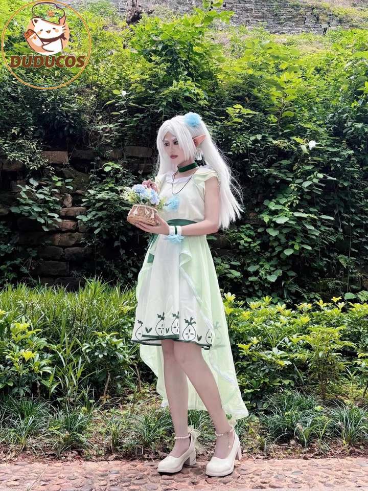 Anime Frieren: Beyond Journey' - Anime Cosplay Wigs review and price